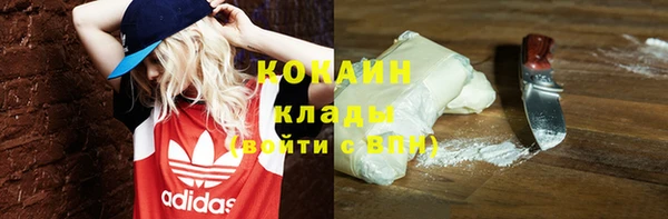 Альфа ПВП Аркадак